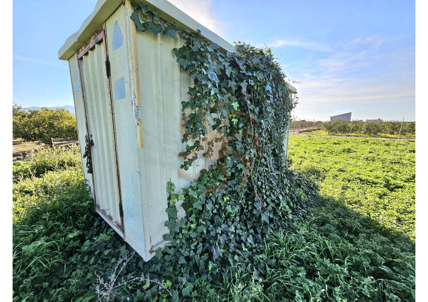 Polana idealna pod uprawy, działkę rekreacyjną blisko Cullera